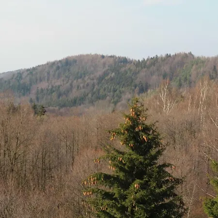 Pod Sniezna * Быстшица-Клодзкая