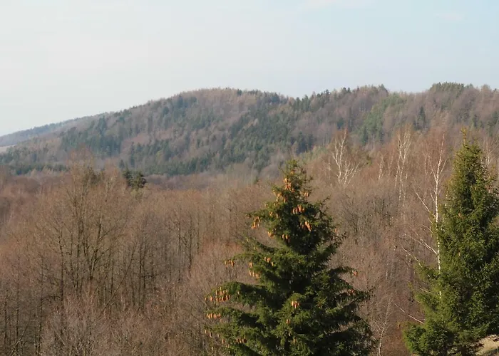 Pod Sniezna * Bystrzyca Kłodzka